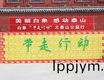 白(bai)象“帶(dai)走(zou)行(xing)動”之(zhi)泰山公益行