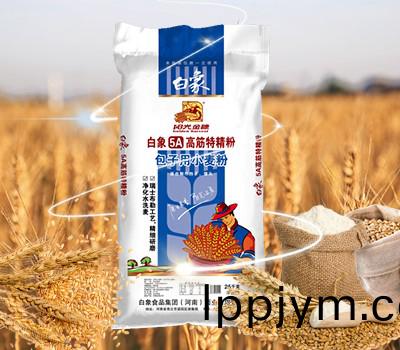 5A高(gao)筋(jin)特(te)精粉