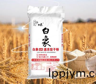 白(bai)象6A速凍餃(jiao)子(zi)粉
