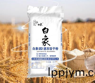 白(bai)象(xiang)5A速(su)凍(dong)餃子粉(fen)