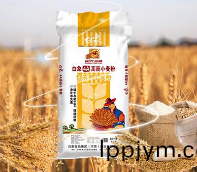 高(gao)筋小(xiao)麥(mai)粉