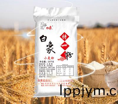 白(bai)象特(te)一(yi)粉