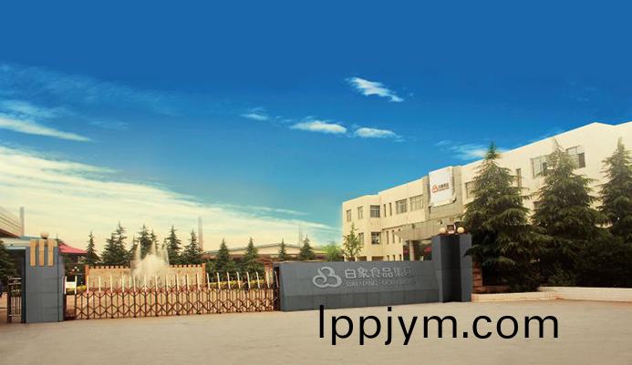 白象(xiang)食品2021校(xiao)招(zhao)啟(qi)動，以(yi)人才(cai)的(de)力(li)量驅(qu)動企業髮展(zhan)