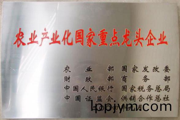 立足(zu)過(guo)去、放眼未(wei)來，白(bai)象食品二(er)十三歲生(sheng)日快(kuai)樂(le)